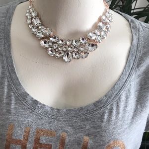 Signature collection. The Jenni!